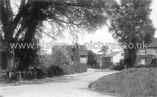 Colchester Road, Earls Colne, Essex. c.1920's